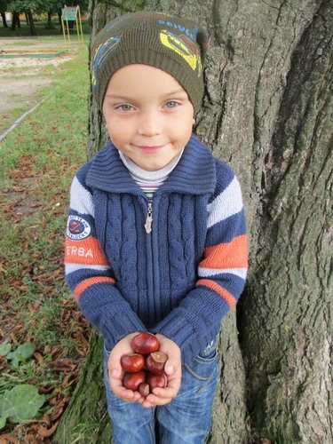 Діти Володимира-Волинського мусять гуляти поряд з псами, які на них кидаються